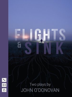 cover image of Flights & Sink